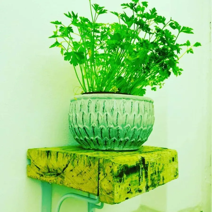 Bradamante Guest House Cinisi Bed & Breakfast