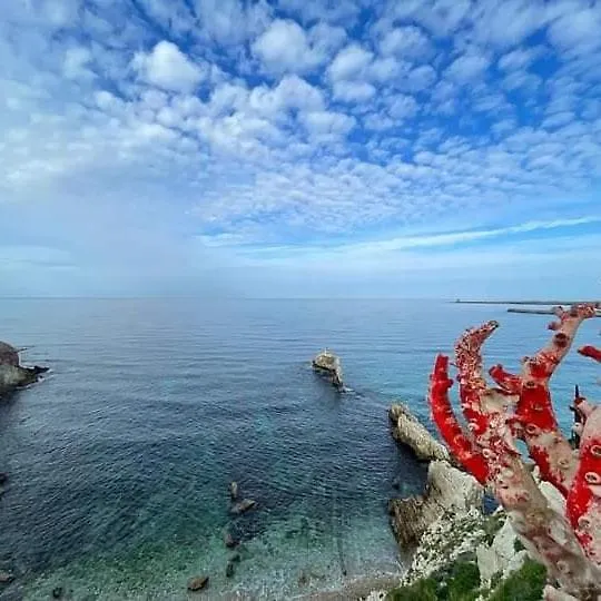 Bed & Breakfast Bradamante Guest House Cinisi Italy